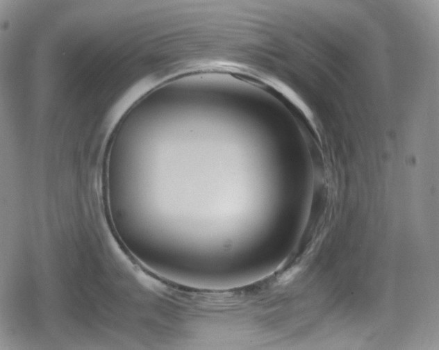X0000080171007200612081356