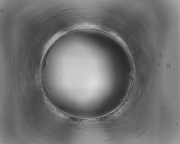 X0000080171008200612081356