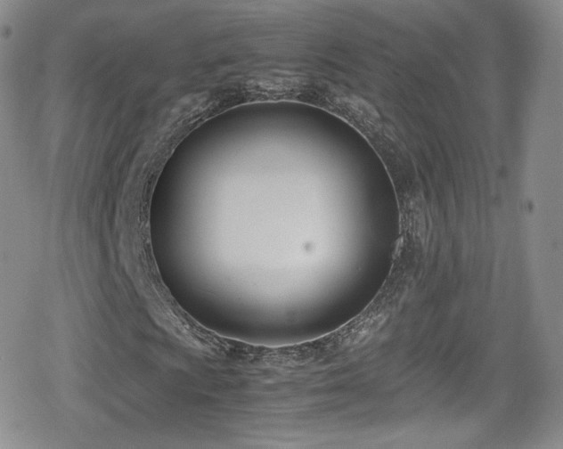 X0000080171009200612081355