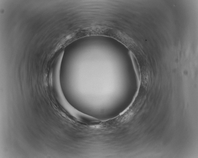 X0000080171010200612081355