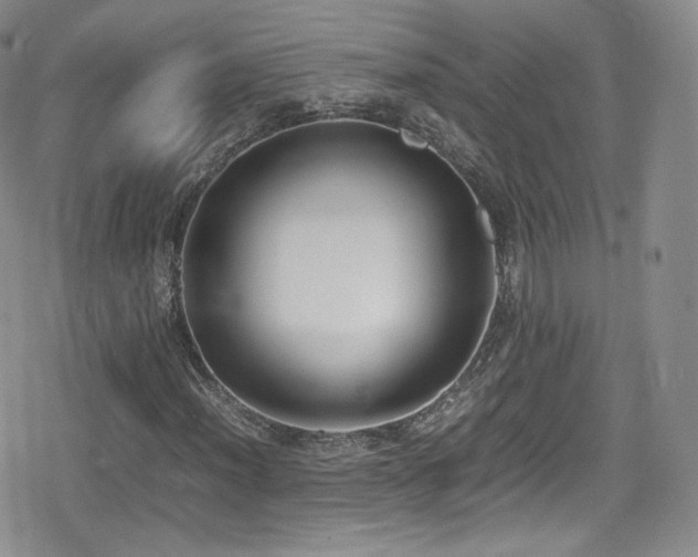 X0000080171012200612081355