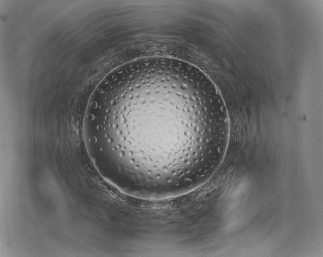 X0000080171013200612081355
