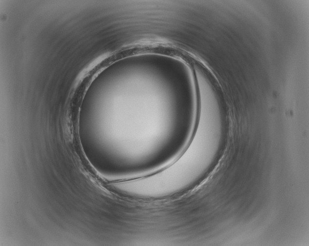 X0000080171018200612081355