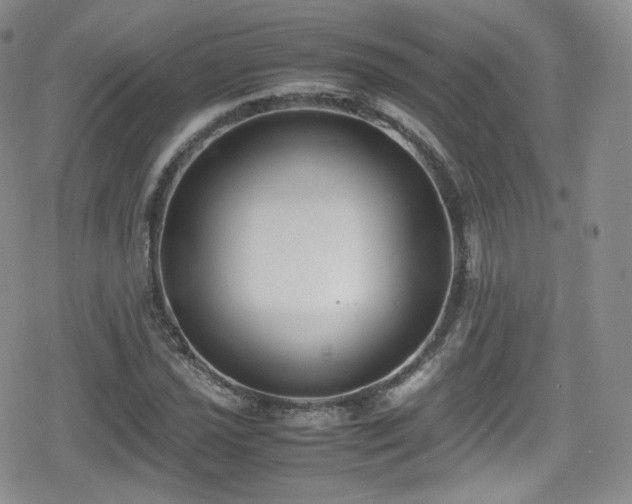 X0000080171021200612081355