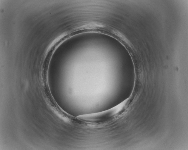 X0000080171026200612081355