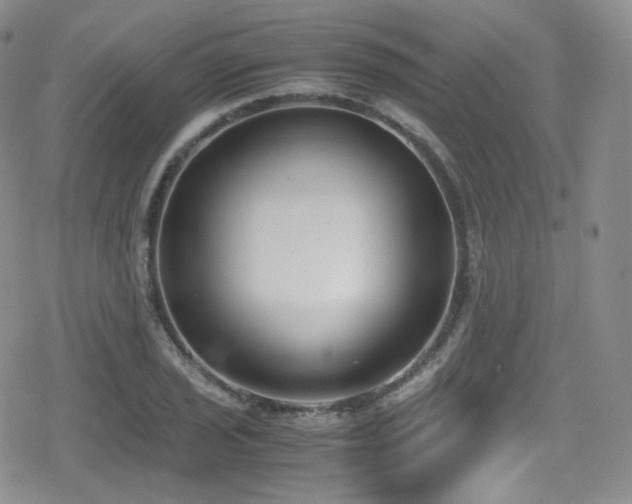X0000080171029200612081355