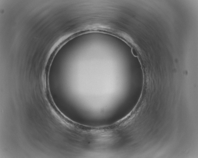 X0000080171032200612081355