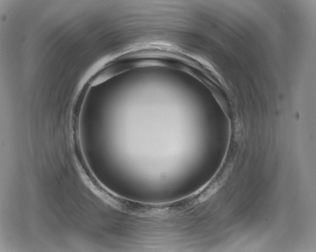 X0000080171038200612081355