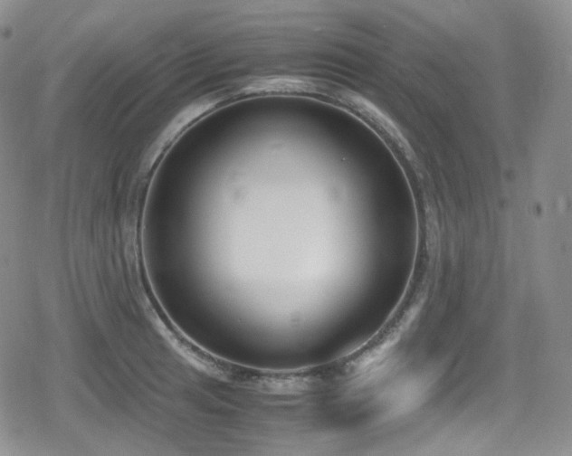 X0000080171041200612081355