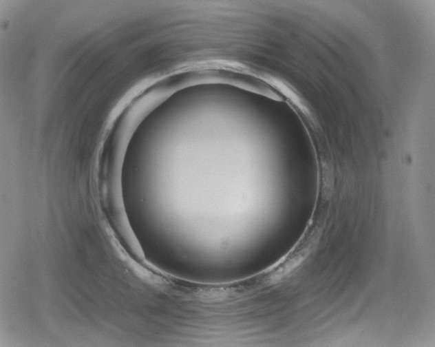 X0000080171046200612081355