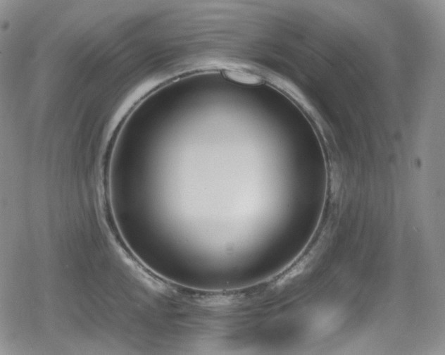 X0000080171048200612081355