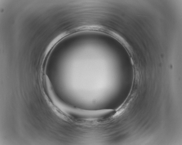 X0000080171050200612081355