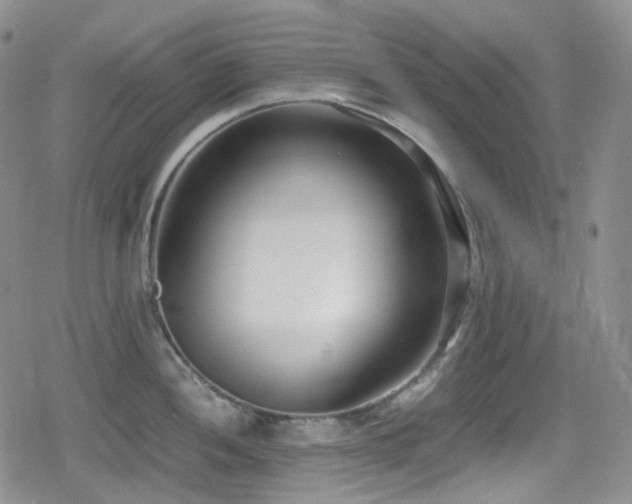 X0000080171052200612081355