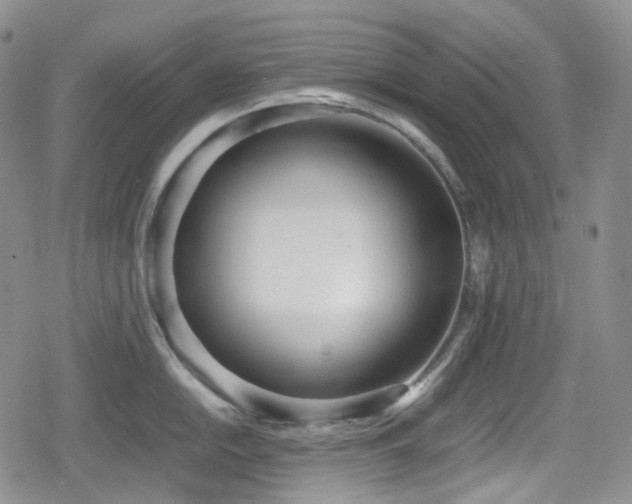 X0000080171054200612081356