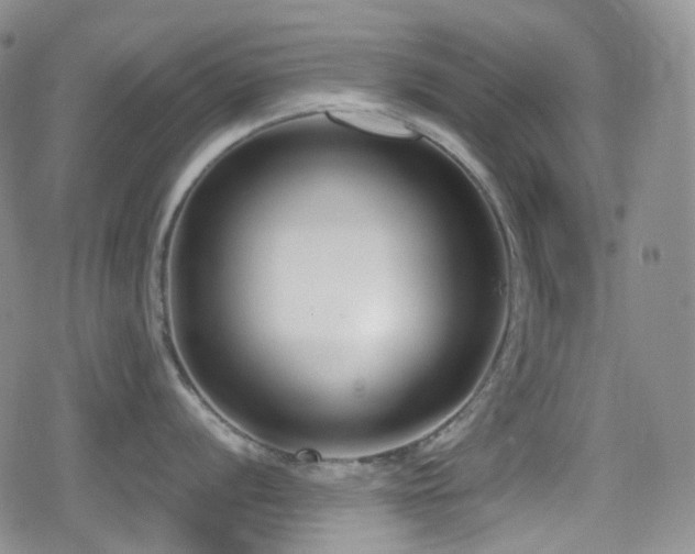 X0000080171056200612081356
