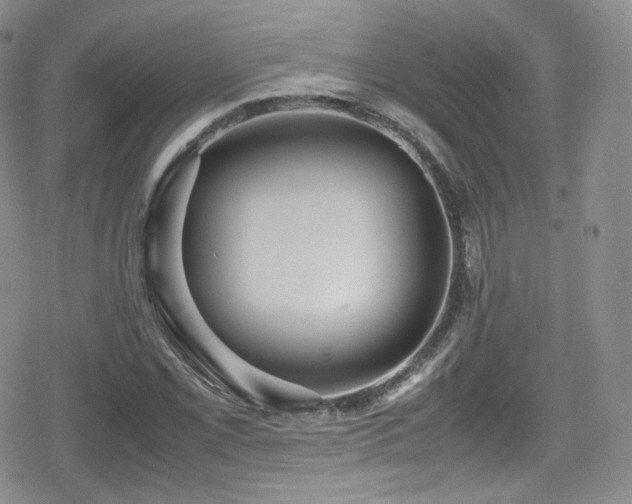 X0000080171069200612081355