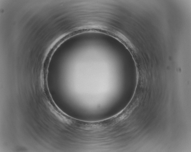 X0000080171076200612081354