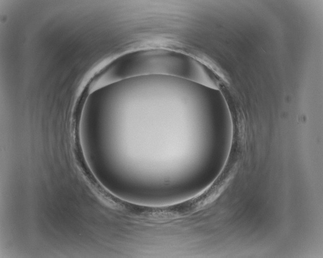 X0000080171077200612081354