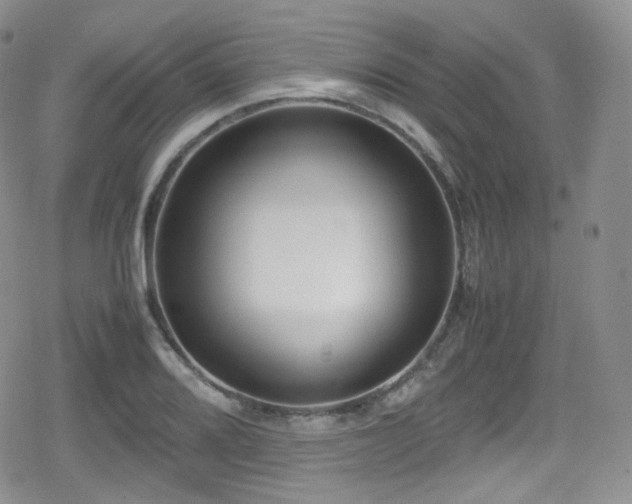 X0000080171080200612081354