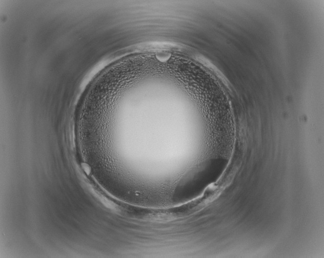 X0000080171083200612081354