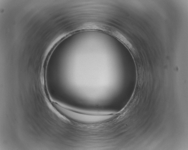 X0000080171084200612081354