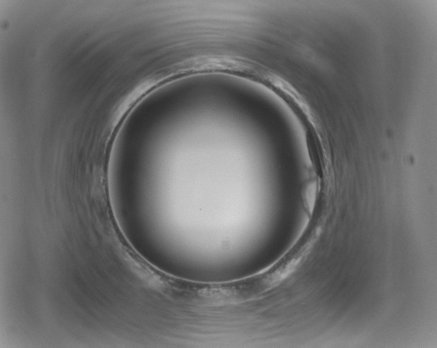 X0000080171089200612081354