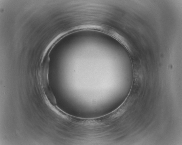 X0000080171092200612081354