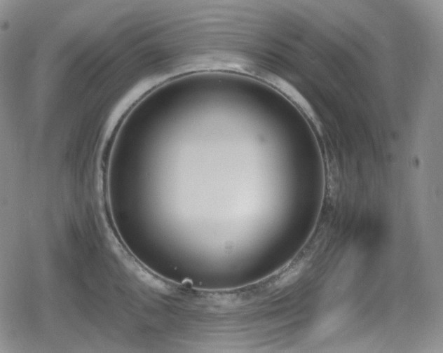 X0000080171096200612081354