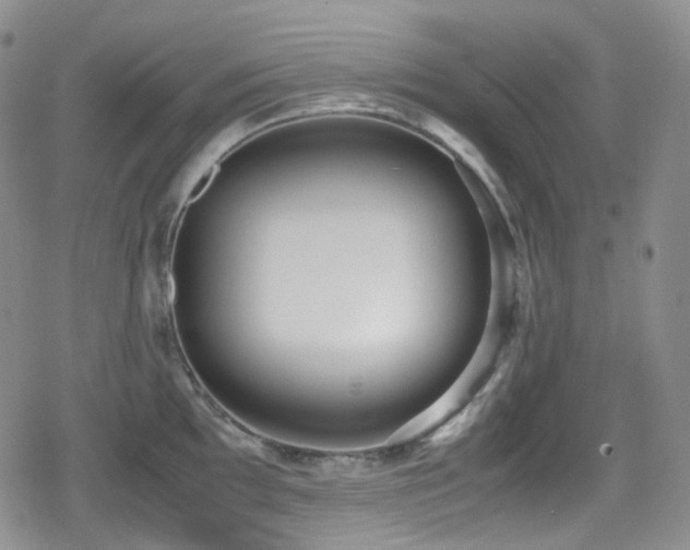 X0000080171097200612081354