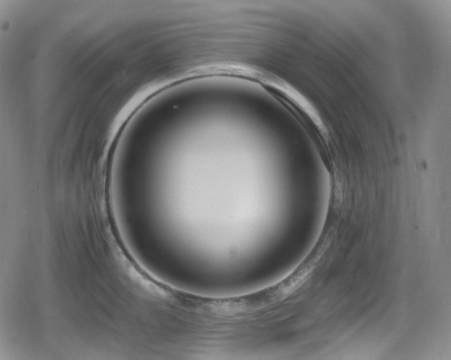 X0000080171102200612081354