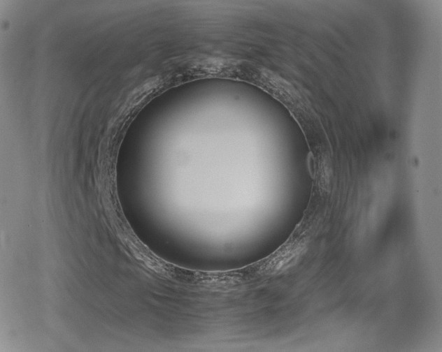 X0000080171105200612081353