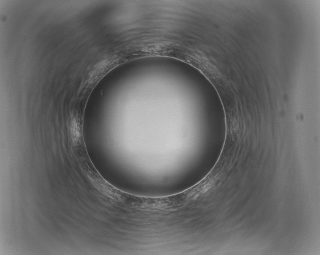 X0000080171106200612081353