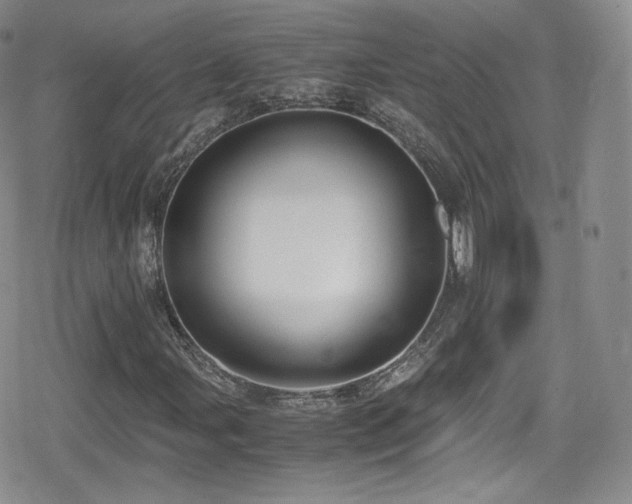 X0000080171107200612081353