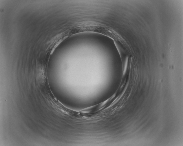 X0000080171108200612081353