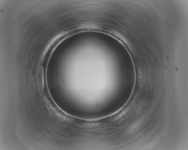 X0000080171123200612081353