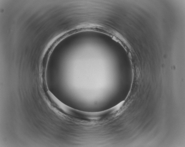 X0000080171124200612081354