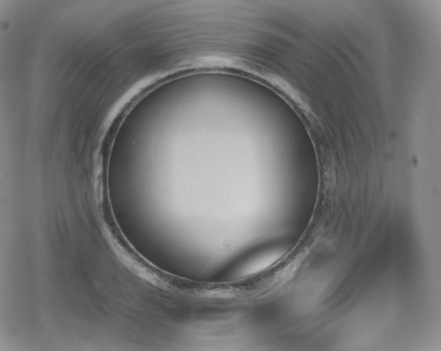 X0000080171126200612081354