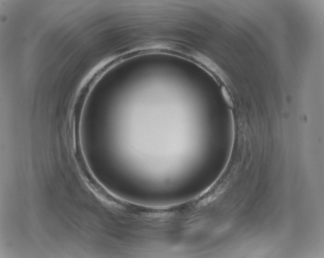 X0000080171127200612081354