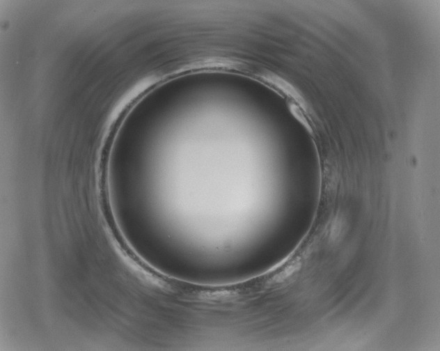 X0000080171135200612081354