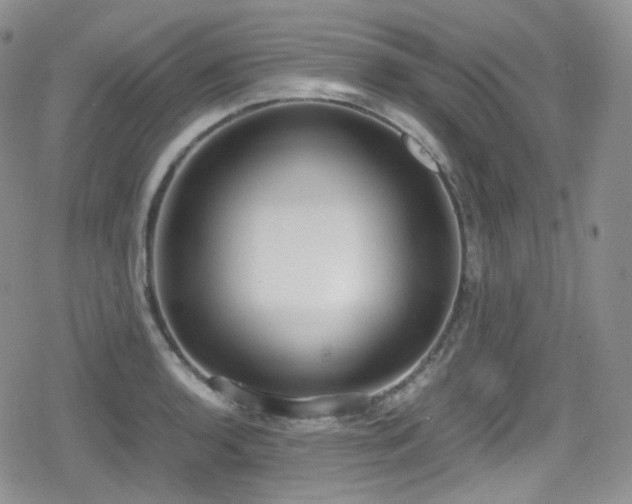X0000080171136200612081354