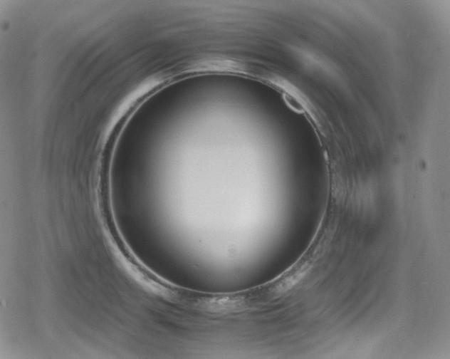 X0000080171139200612081354
