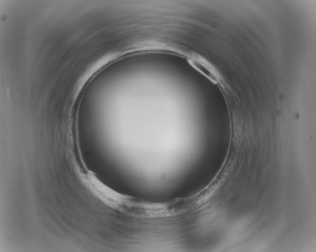 X0000080171142200612081354