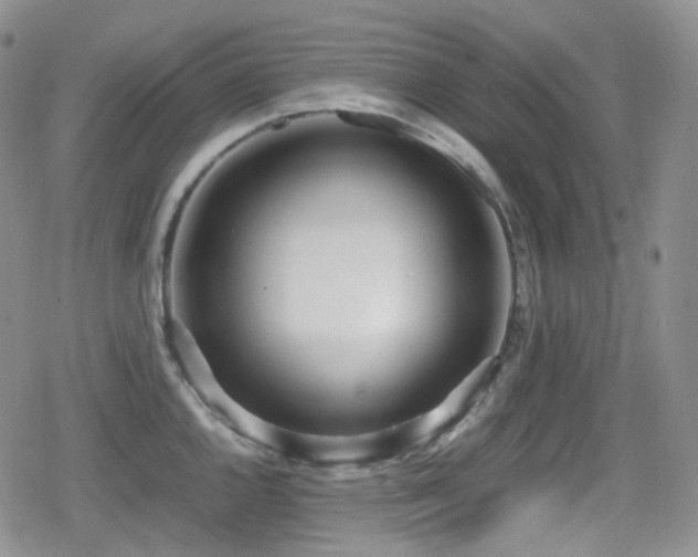 X0000080171144200612081354