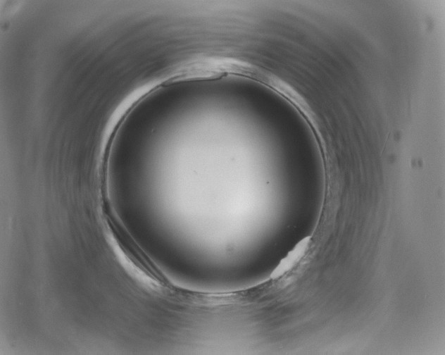 X0000080171152200612081354