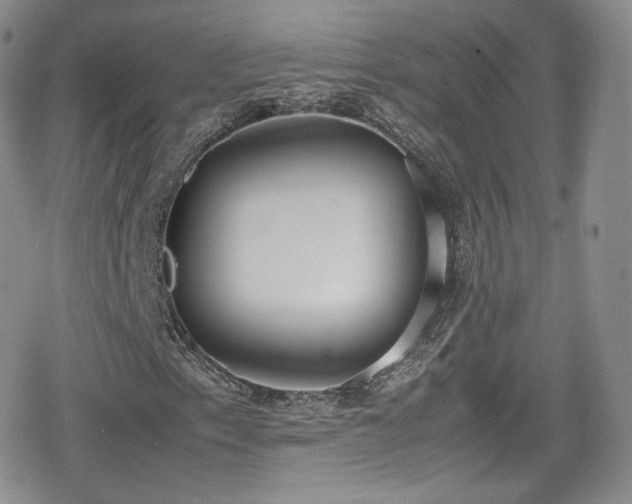 X0000080171153200612081353