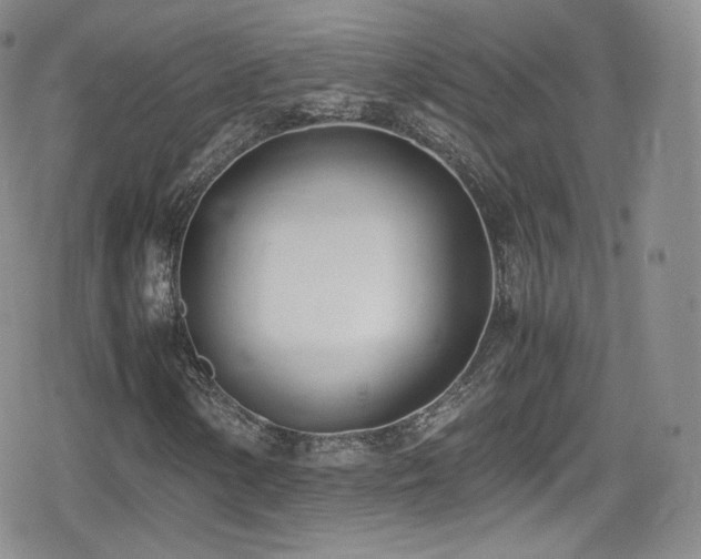 X0000080171154200612081353