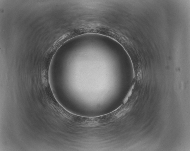 X0000080171156200612081353