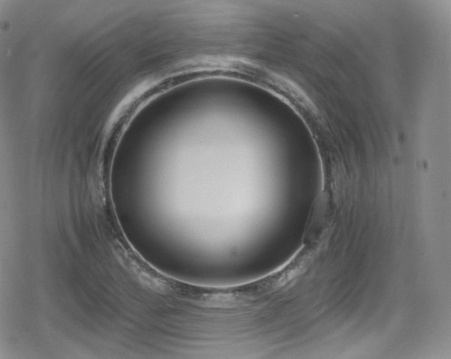 X0000080171172200612081353