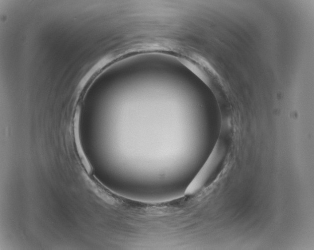 X0000080171181200612081353