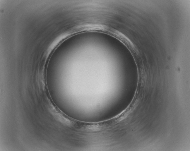X0000080171182200612081353